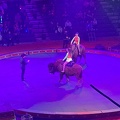 IMG 7143